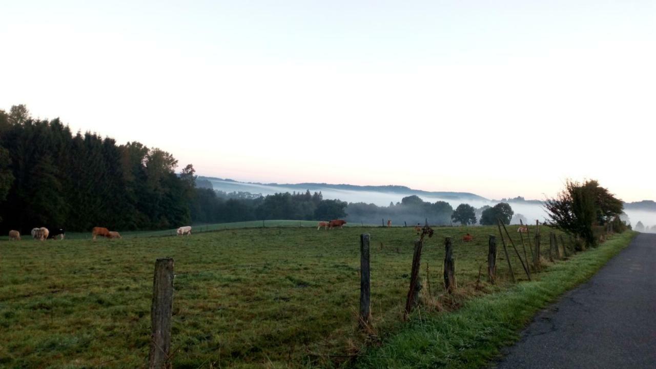 La croisée des champs, gîte entre Durbuy et La Roche en Ardenne Érezée Exterior foto